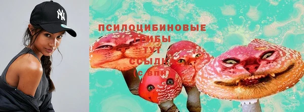 дмт Алексин